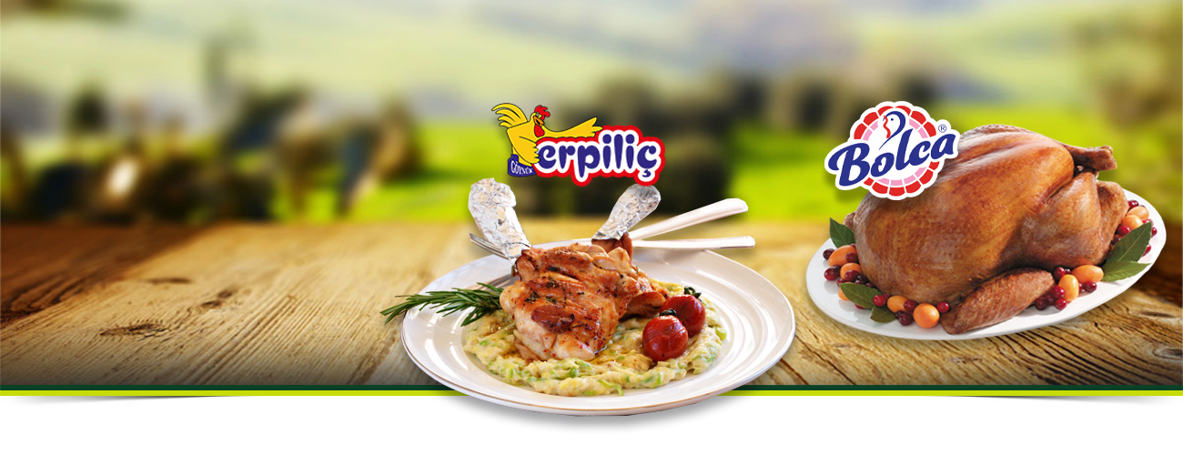 Kar Gıda; Erpiliç ve Bolca Hindi