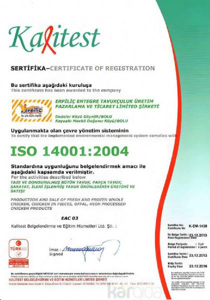 ISO 14001:2004